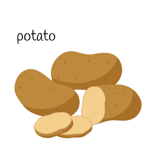 Ganze Rohe Kartoffeln Scheiben Geschnitten Und Die Hälfte Querschnitt Gemüse — Stockvektor
