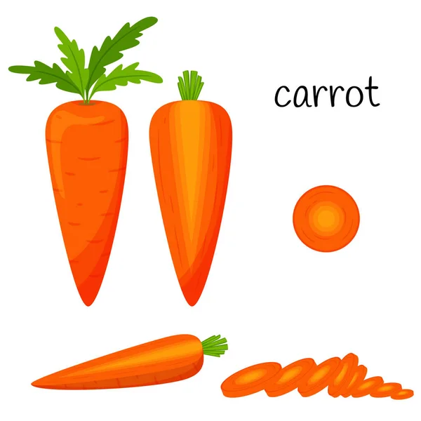 Rohe Karotten Mit Spitzen Ganz Scheiben Geschnitten Und Die Hälfte — Stockvektor