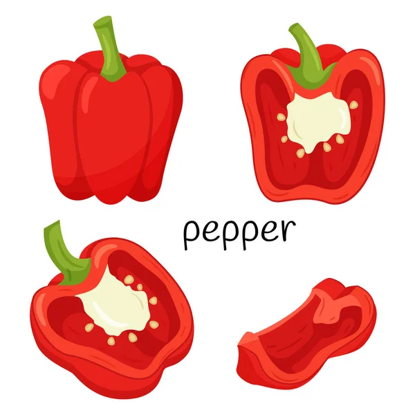 Frische Rote Paprika Ganz Die Hälfte Querschnitt Und Eine Viertelscheibe — Stockvektor