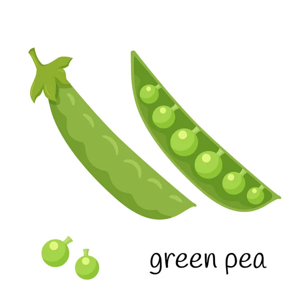Pois Verts Dans Une Gousse Plante Légumineuse Dans Une Gousse — Image vectorielle