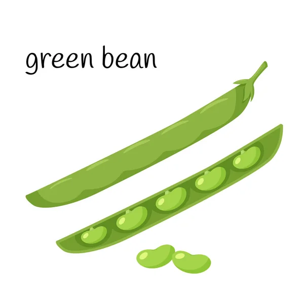 豆荚里有绿豆 豆科植物在封闭和开放的豆荚 设计食品包装 食谱和菜单的一个元素 在平面样式的白色矢量图上分离 — 图库矢量图片