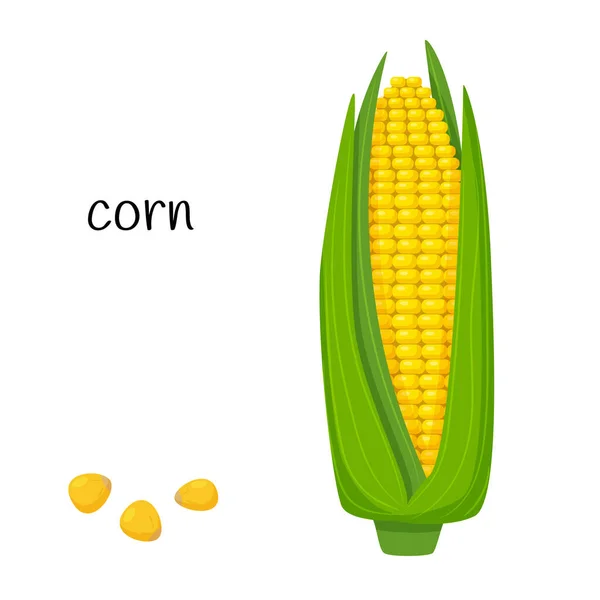 Corn Cob Leaves Ripe Ripe Fresh Corn Ingredient Element Design — Stock Vector