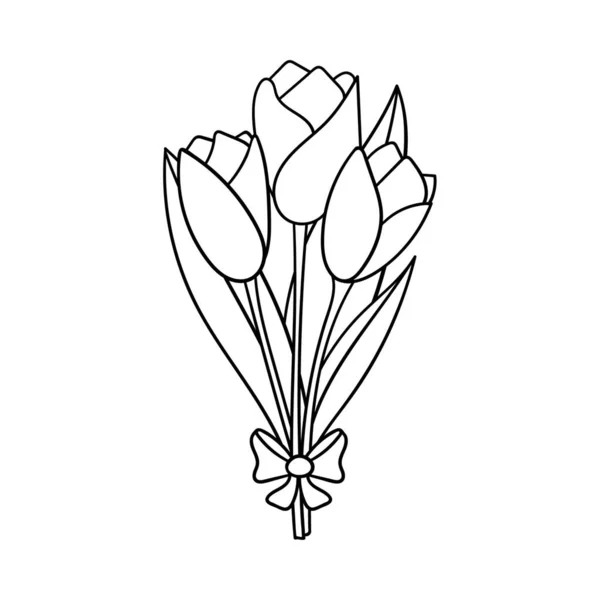 一束带有叶子和蝴蝶结的郁金香 情人节的装饰元素 用手工绘制了一个简单的轮廓设计对象 并将其隔离在白色上 涂鸦风格 黑色白色矢量图解 — 图库矢量图片