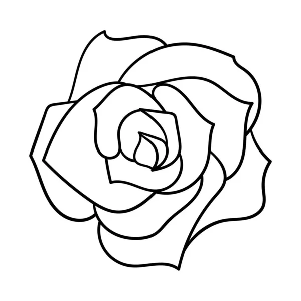 一朵盛开的花盛开了 从上往下看花瓣的花蕾 简单的装饰元素设计 示意图是手绘的 用白色背景隔开 黑白色矢量 — 图库矢量图片