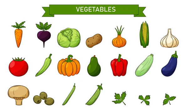 一组用于蔬菜 橄榄的彩色线形图标 以平整的风格设计具有冲程的元素 手绘并隔离在白色背景上 黑白矢量图解 — 图库矢量图片