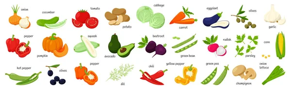 Grand Ensemble Légumes Frais Olives Maïs Légumes Verts Entier Demi — Image vectorielle