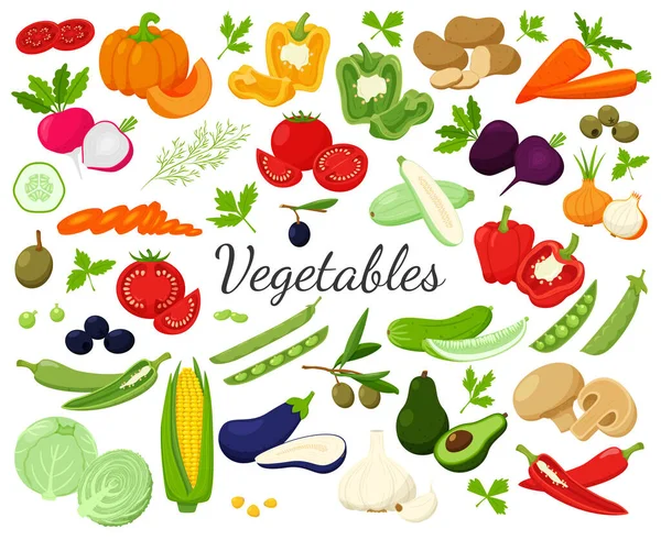 Μεγάλη Συλλογή Από Φρέσκα Λαχανικά Ελιές Αβοκάντο Ολόκληρο Μισό Διατομή — Διανυσματικό Αρχείο