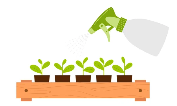 Spraying Seedling Cups Spray Bottle Moistening Foliage Plant Care Botanical — Stock Vector