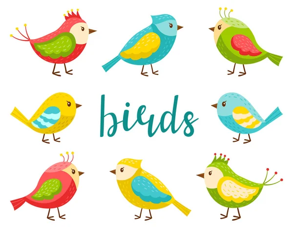 Набор Ярких Милых Птиц Коллекция Карикатур Весенних Птиц Плоском Стиле — стоковый вектор