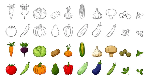 Ensemble Légumes Éléments Linéaires Noir Blanc Éléments Colorés Avec Contour — Image vectorielle