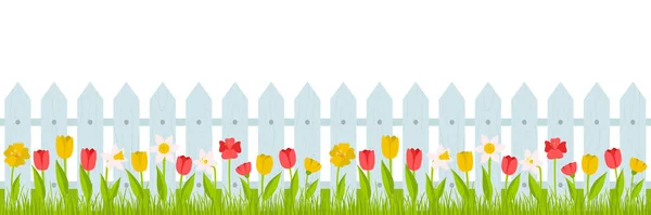 Seamless horizontal border. Lawn grass with red, yellow tulips and daffodils and a fence. Summer, spring illustration in cartoon style. Vector in a flat style on a white background