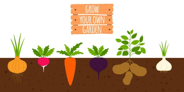 地面に根菜類 セクションの土壌中の野菜 自分の庭を育てなさい 木製の銘板に刻まれている 白を基調としたフラットな漫画風 — ストックベクタ