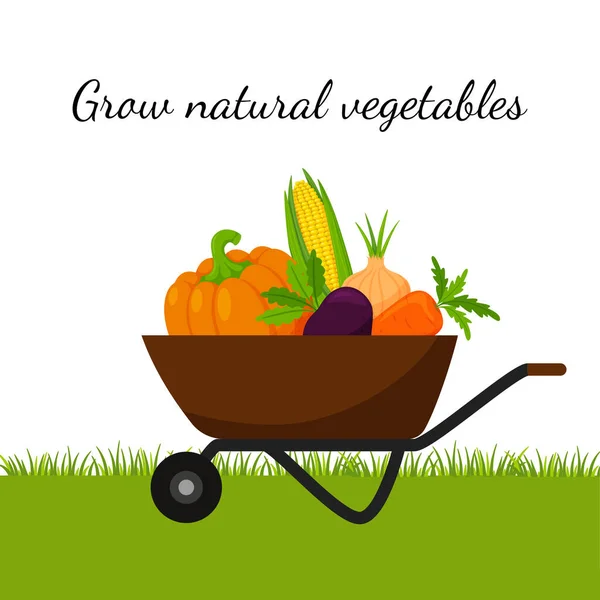 Ένα Καρότσι Κήπου Γεμάτο Λαχανικά Κολοκύθα Καλαμπόκι Καρότα Παντζάρια Έννοια — Διανυσματικό Αρχείο