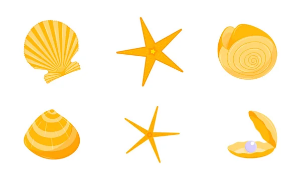 Uma Coleção Conchas Amarelas Estrelas Mar Elementos Design Sobre Tema —  Vetores de Stock