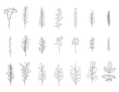 Yapraklı el yapımı dallar. Doodle tarzı. Botanik, bitki elementleri. Çizgi film tarzında siyah-beyaz vektör çizimleri. Beyaz bir arkaplanda izole edilmiş.