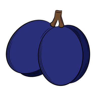 Erik, filiz üzerinde kayısı, doğrusal olarak meyve. Renkli vektör dekoratif ögesi, elle çizilmiş.