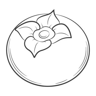 Doğrusal bir şekilde hurma meyvesi. Siyah ve beyaz vektör dekoratif ögesi, elle çizilmiş. Beyaz arkaplanda izole edilmiş.