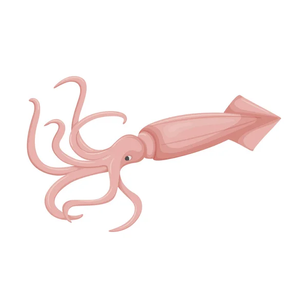 Raw Uncooked Squid Tentacles Tail Marine Animal Sea Food Flat — Vector de stock