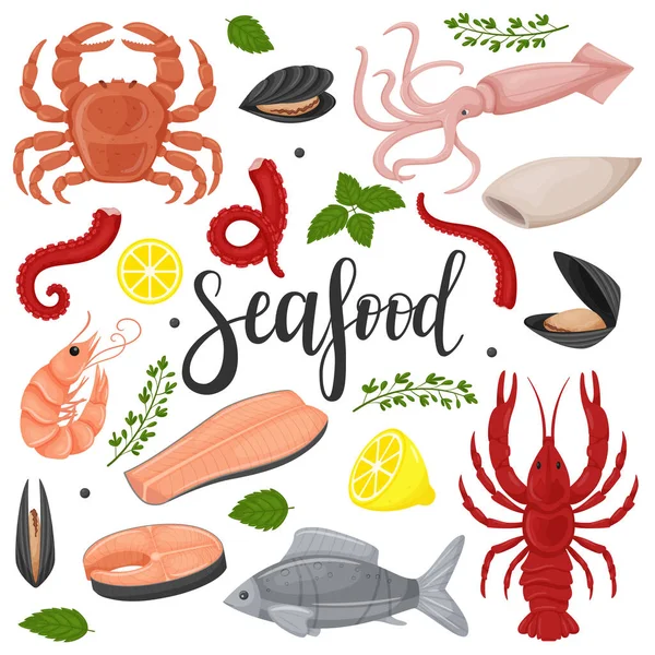 Zestaw Morskich Pokarmów Kałamarnica Ośmiornica Czerwona Ryba Filet Małże Kraby — Wektor stockowy