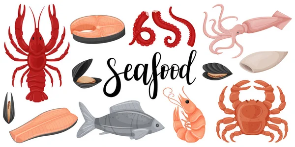 Zestaw Owoców Morza Surowa Kałamarnica Ośmiornica Czerwona Ryba Filet Małże — Wektor stockowy