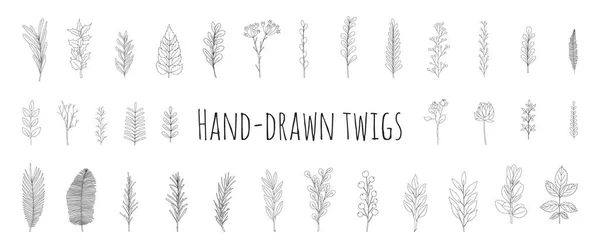 Ein Satz Von Handgezeichneten Zweigen Mit Blättern Doodle Stil Botanische — Stockvektor