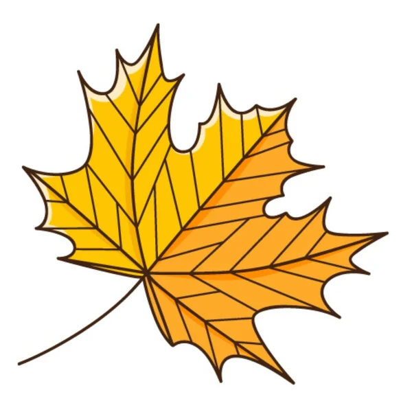 Gelb Orangefarbenes Ahornblatt Botanisches Pflanzliches Gestaltungselement Mit Umriss Herbstzeit Gekritzelt — Stockvektor