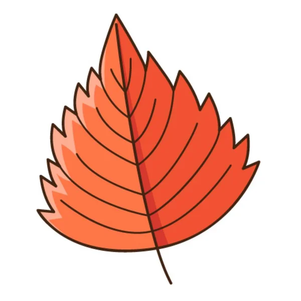 Feuille Automne Rouge Élément Botanique Conception Végétale Avec Contour Doodle — Image vectorielle