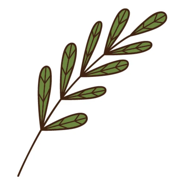 Абстрактная Веточка Зелеными Листьями Лезвие Травы Ботанический Элемент Оформления Растений — стоковый вектор