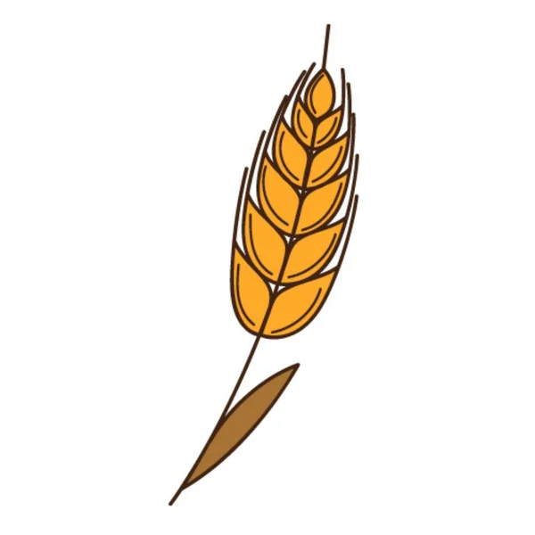Yellow Wheat Rye Spikelet Symbol Autumn Harvest Design Element Outline — Stock Vector