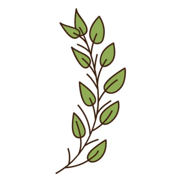 Yeşil Yapraklı Soyut Dal Bir Çimen Yaprağı Botanik Bitki Tasarımı — Stok Vektör