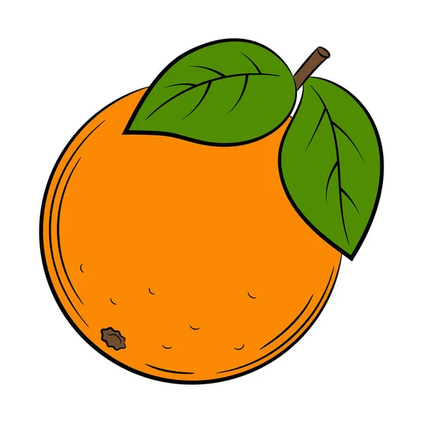 Orange Grapefruit Bergamotte Zitrusfrüchte Früchte Einem Linearen Stil Bunte Vektor — Stockvektor