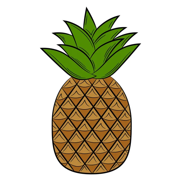 Pineapple Fruit Linear Style Colorful Vector Decorative Element Drawn Hand — 图库矢量图片