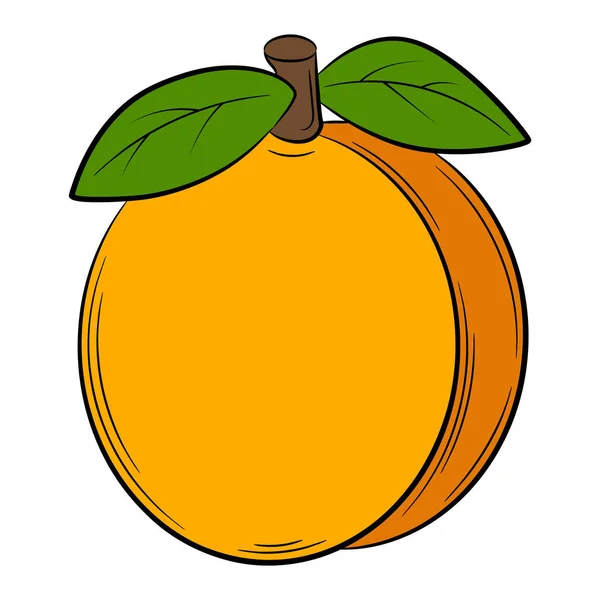 Pfirsich Aprikose Frucht Einem Linearen Stil Bunte Vektor Dekoratives Element — Stockvektor