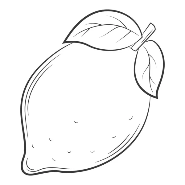Citron Ovoce Lineárním Stylu Černobílý Vektorový Dekorativní Prvek Kreslený Ručně — Stockový vektor