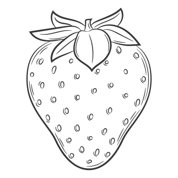 Strawberry Fruit Linear Style Black White Vector Decorative Element Drawn — Stock Vector