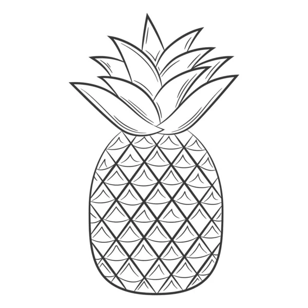 Fruta Abacaxi Estilo Linear Vetor Preto Branco Elemento Decorativo Desenhado — Vetor de Stock