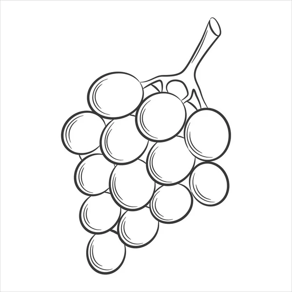 Grape Berry Linear Style Black White Vector Decorative Element Drawn — Archivo Imágenes Vectoriales