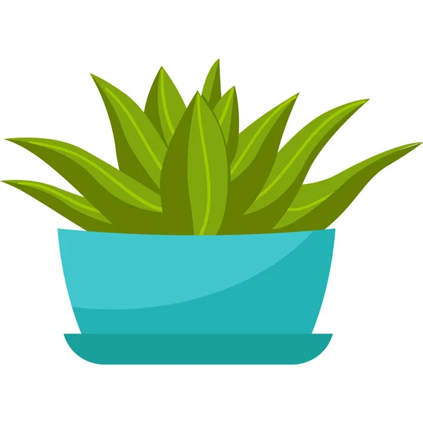 Zimmerpflanze Aloe Vera Einem Blauen Blumentopf Hause Saftig Vektor Illustration — Stockvektor
