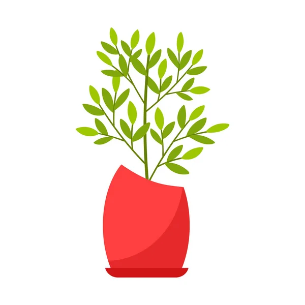 Krytá Rostlina Fíkus Červeném Hrnci Domovská Listnatá Rostlina Vektorové Ilustrace — Stockový vektor