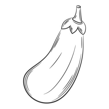 Patlıcan. Doğrusal tarzda bir sebze, elle çizilmiş. Gıda malzemesi, tasarım elementi. Siyah ve beyaz vektör çizimi. Beyaz bir arkaplanda izole edilmiş.