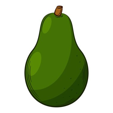 Avokado. Doğrusal tarzda bir sebze, elle çizilmiş. Gıda bileşeni, tasarım elementi. Renkli vektör çizimi. Beyaz bir arkaplanda izole edilmiş.