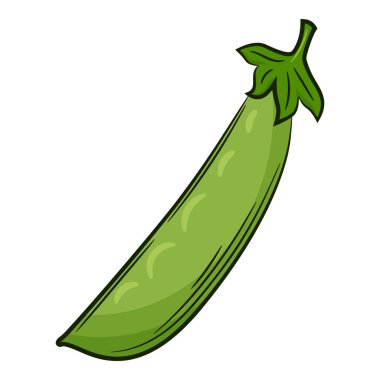 Bezelye kabuğu. Doğrusal tarzda bir sebze, elle çizilmiş. Gıda bileşeni, tasarım elementi. Renkli vektör çizimi. Beyaz bir arkaplanda izole edilmiş.
