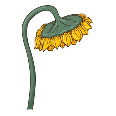 Sapında ayçiçeği var. Olgun ayçiçeği. Sonbaharın sembolü, hasat. Tasarım öğesi ana hatlarıyla. Doodle, elle çizilmiş. Düz dizayn. Renkli vektör çizimi. Beyaz bir arkaplanda izole edilmiş