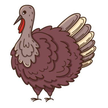 Live turkey. Poultry. The symbol of Thanksgiving. Design element with outline. Doodle, hand-drawn. Flat design. Color vector illustration. Isolated on a white background clipart