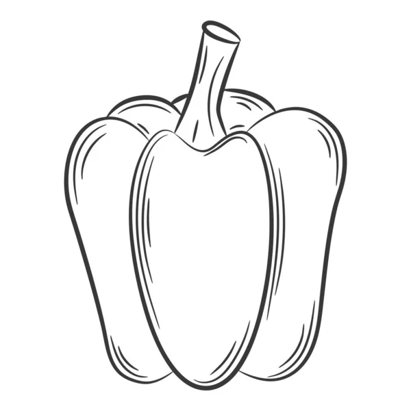 Paprika Pepper Vegetable Linear Style Drawn Hand Food Ingredient Design — 스톡 벡터