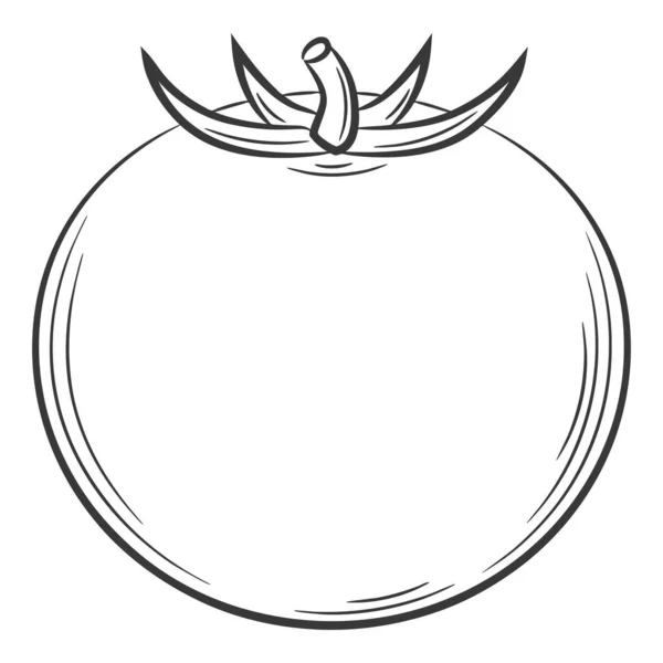 Tomato Vegetable Linear Style Drawn Hand Food Ingredient Design Element — 스톡 벡터