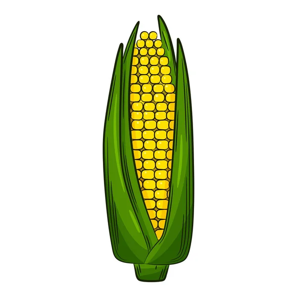 Corn Cob Vegetable Linear Style Drawn Hand Food Ingredient Design — 图库矢量图片