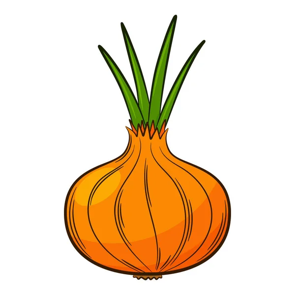 Onion Head Vegetable Linear Style Drawn Hand Food Ingredient Design — 스톡 벡터