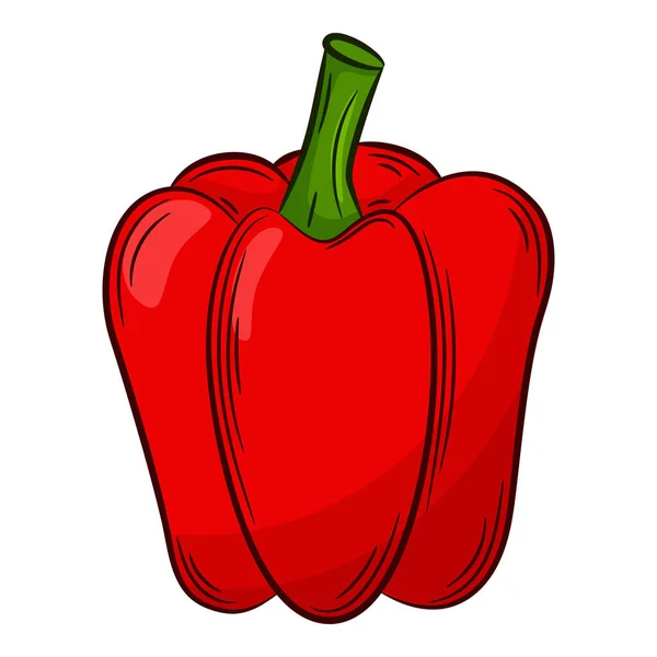 Паприка Пеппер Овощ Линейном Стиле Нарисованный Вручную Пищевой Ингредиент Элемент — стоковый вектор