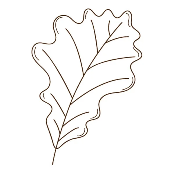 Feuille Automne Chêne Élément Botanique Conception Végétale Avec Contour Doodle — Image vectorielle